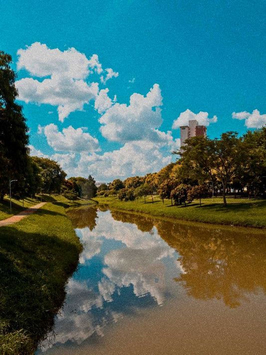 Ingresso ADCC OPEN INDAIATUBA - 1 kg de alimento ou 1 lata de leite em pó